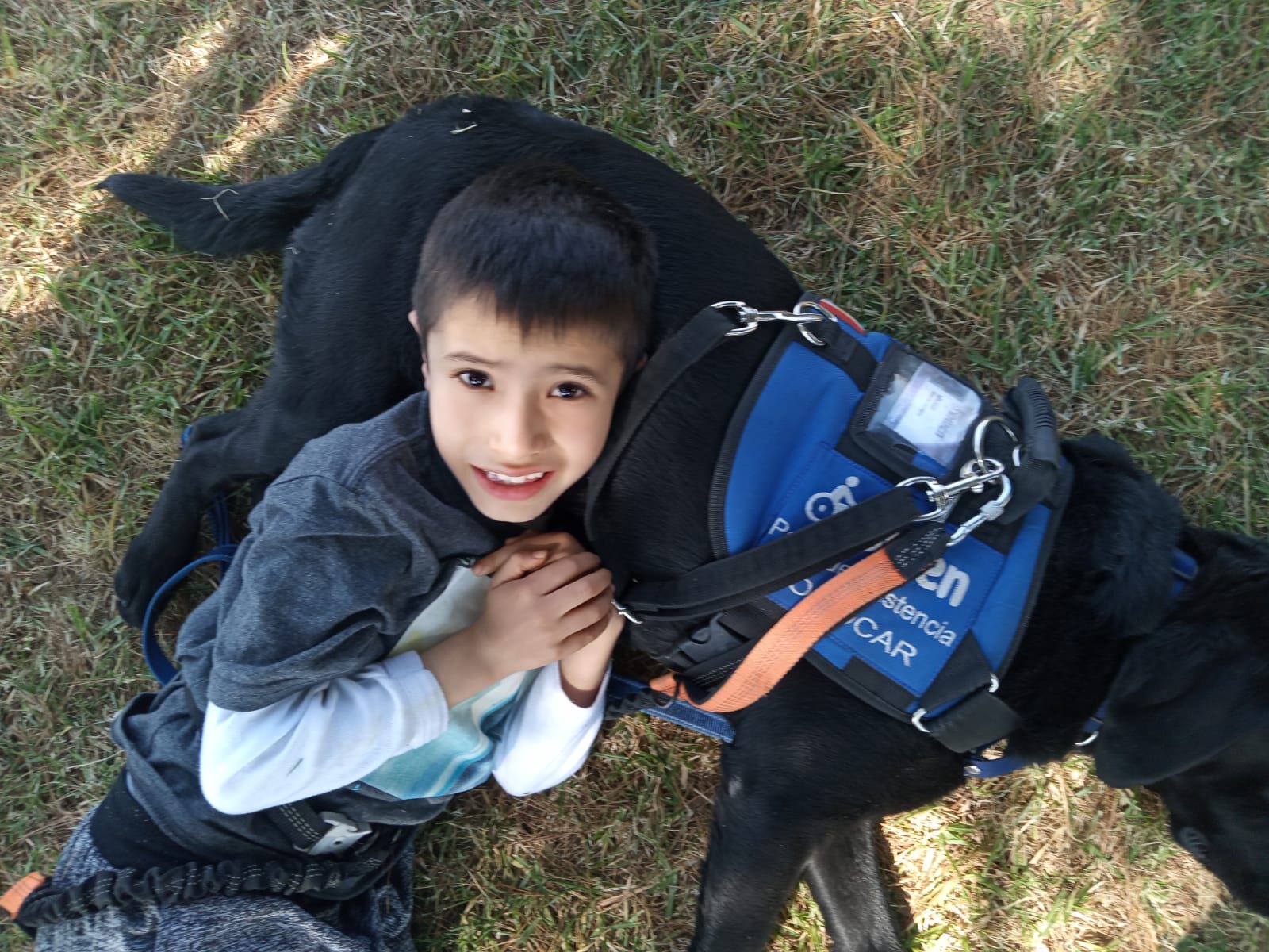 d405d91d-1761-4214-86ce-8060fa544e4f