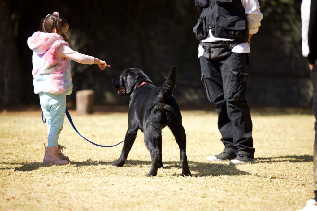 7562bbef-81a9-421d-9a75-86531ff8639f