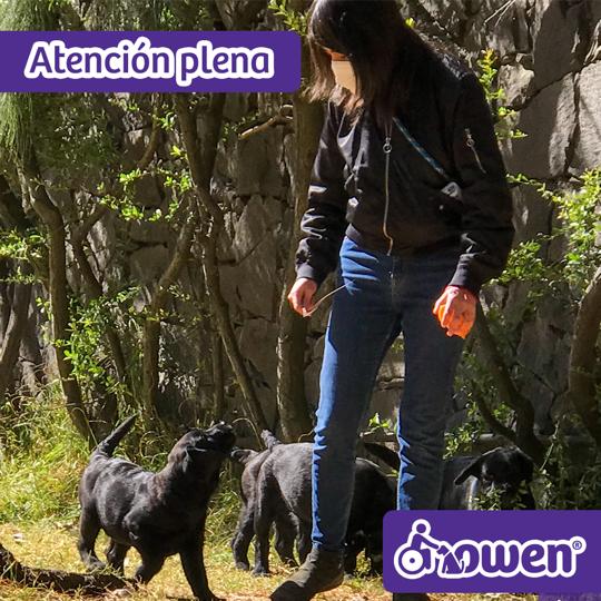 9156e4d2-a79e-4169-9768-fa192388ce72 (1)