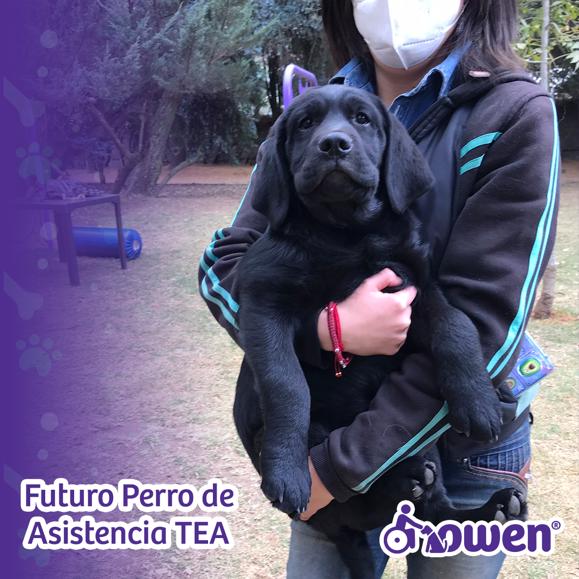 99636534-025f-48eb-a459-65458f550b95