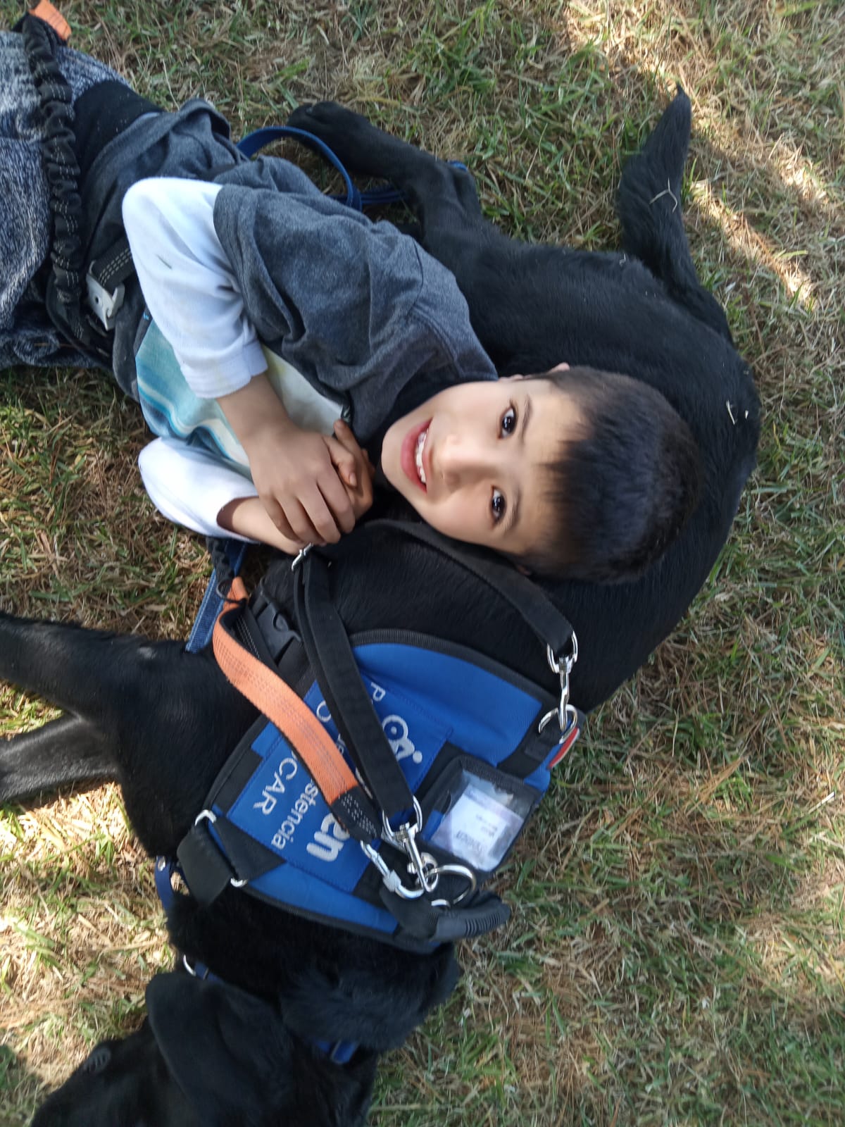 d405d91d-1761-4214-86ce-8060fa544e4f